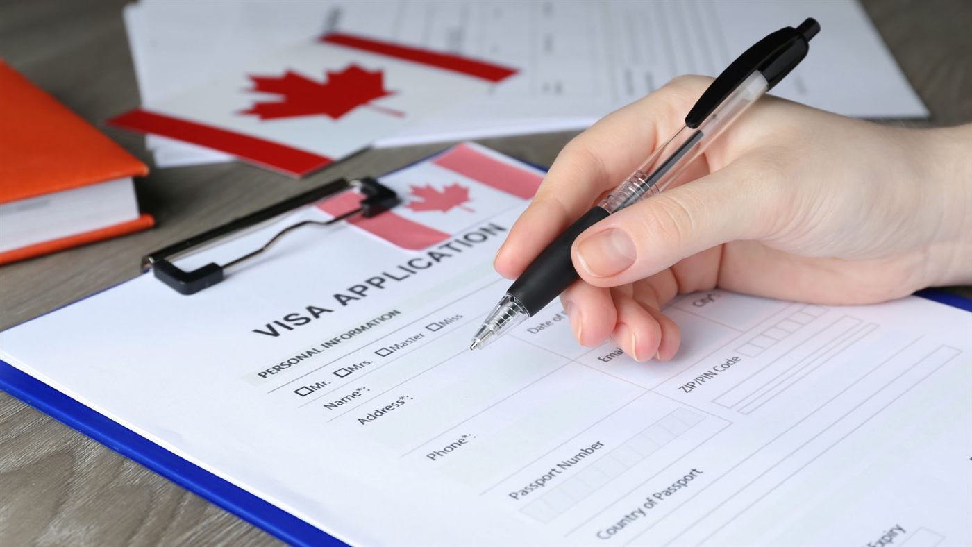 Consultation for NSNP documentation
